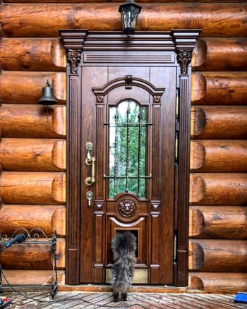Фото Двери с массивом дуба №183